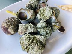-南蚝小贝海鲜特色餐厅(南澳岛店)
