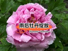 -仁和公园(顺义区)