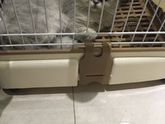 -Oh My Dog宠物沙龙(伊珊娜皮毛护理店)