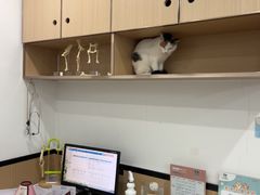 -贝利宠物医院·骨科·眼科·肿瘤转诊中心(南坪诊疗中心)
