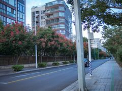 -金山公园