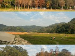 -广州市白云山风景名胜区