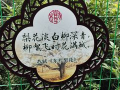 -树山生态村