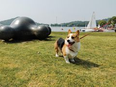 -上海月湖雕塑公园
