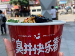 -黑色经典臭豆腐·湖南特产(步行街店)