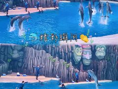 -珠海长隆海洋王国