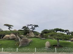 -罗红摄影艺术馆