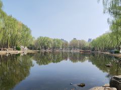 -东升八家郊野公园