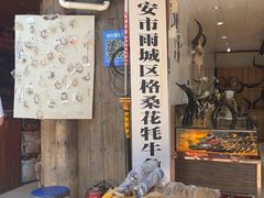 -雅安上里古镇