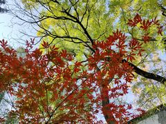 -北京鹫峰国家森林公园