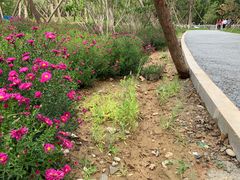 -回龙观体育文化公园