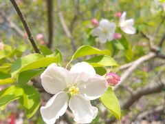 -元大都城垣遗址公园