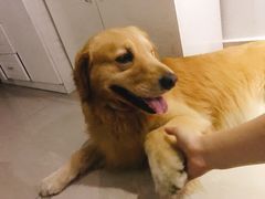 -优雅岁月足浴会所
