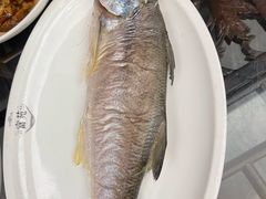 -吴记富苑(朝阳店)