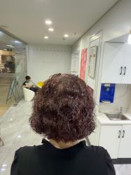 点击看大图 -镁连社·美联社