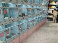 -FAELING PETS美天灵宠物(合生汇店)