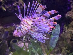 -太平洋海底世界