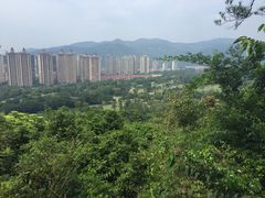-罗三妹山