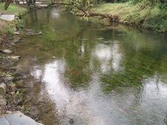 -贵阳市花溪国家城市湿地公园