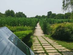 -西安浐灞国家湿地公园