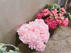 -茶与花间(太平洋森活天地店)