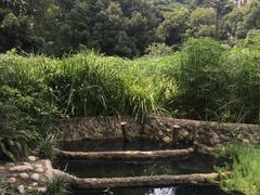 -成都市活水公园