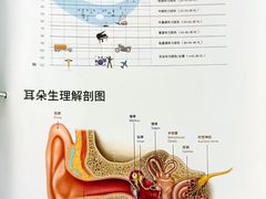 -自然之声助听器·呼吸机(贵定店)