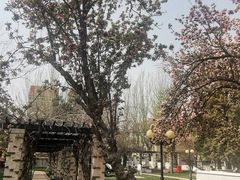 -天津五大道文化旅游区