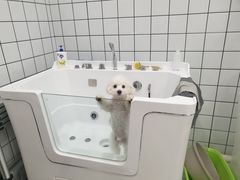 -BABIT巴比特宠物(MOMOPARK店)