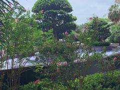 -三亚凤凰水城凯莱度假酒店