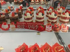 -极致味道动物奶油生日蛋糕(时尚店)