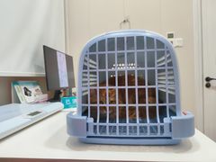 -立德动物医院·24小时中心(番禺区院区)