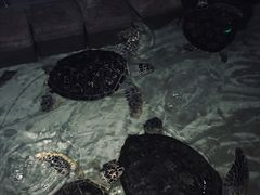 -杭州海底世界