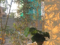 景观位-莲餐厅·湖北菜·藕汤是头牌(愚园路店)