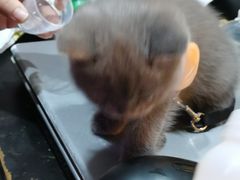 -解个谜沉浸剧情密室(天河店)