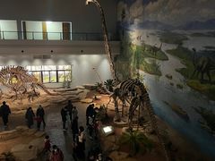 -自贡恐龙博物馆