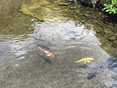 -水前寺成趣园