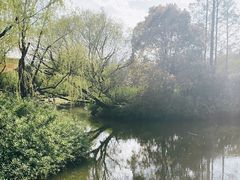 -上海滨江森林公园