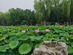 -莲池书院博物馆