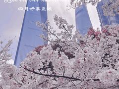 -陆家嘴中心绿地