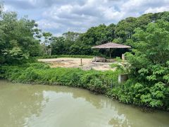 -宁波野生动物园