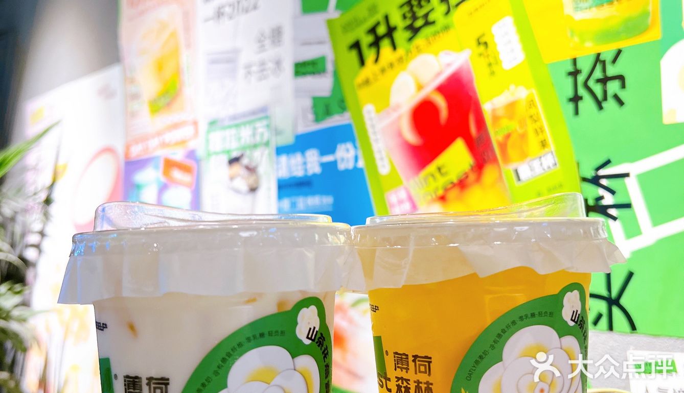 漳州探店 | 我的冬天不能没有「薄荷森林」❗