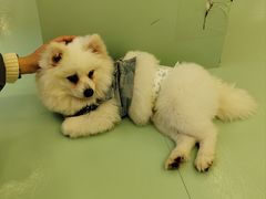 -怪兽屋·羊驼·猫咖·狗咖(俊华广场店)