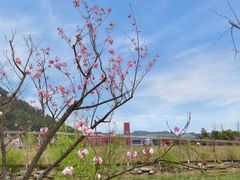 -龙里油画大草原旅游区