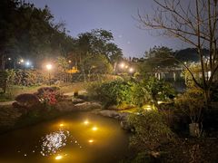 -东莞植物园