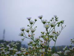 -苏体天云湖运动度假村