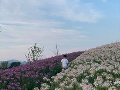 -径山花海