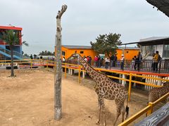 -西霞口神雕山野生动物世界