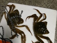 -盒马鲜生(大成店)