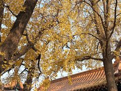 -戏马台景区